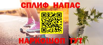 гашик Донской