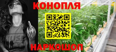 гашик Донской