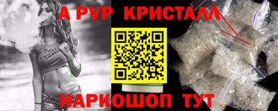 гашик Донской