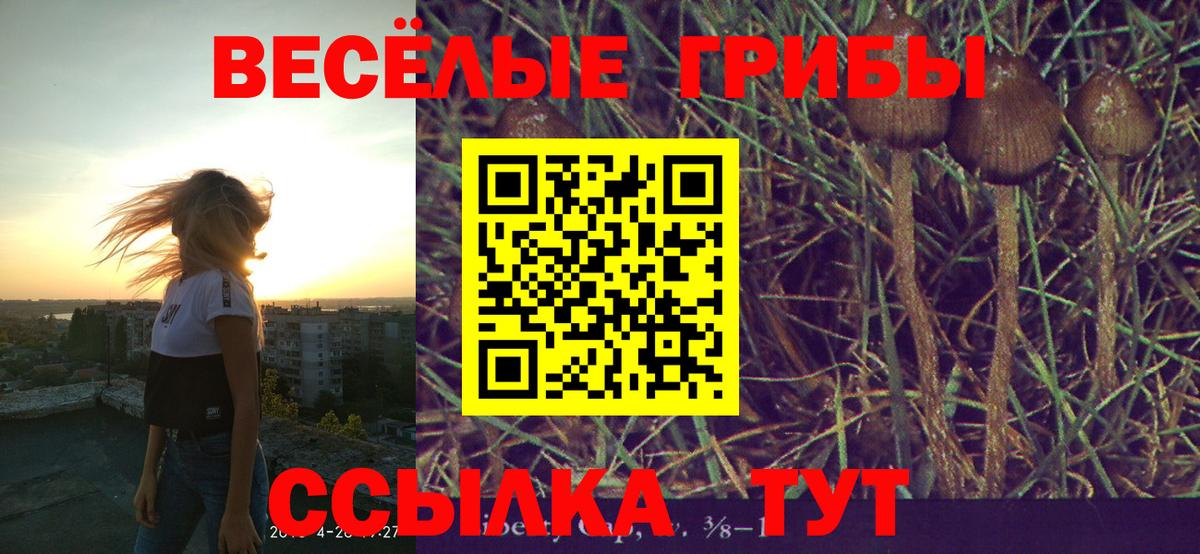 Луховицы  Галлюциногенные грибы Psilocybine cubensis  Вход с VPN 
