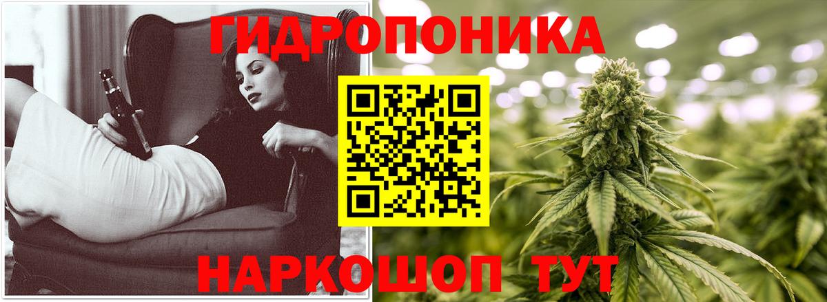 Канабис конопля Луховицы